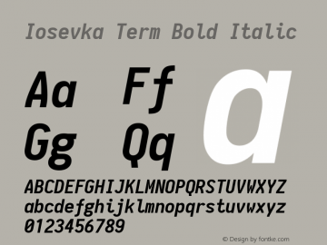 Iosevka Term Bold Italic 1.8.5图片样张