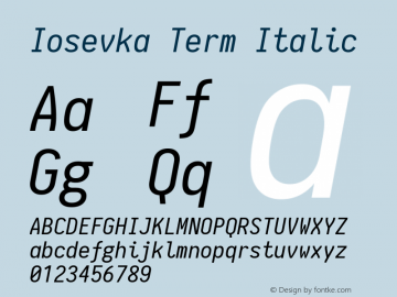 Iosevka Term Italic 1.8.5图片样张