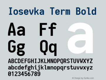 Iosevka Term Bold 1.8.5图片样张