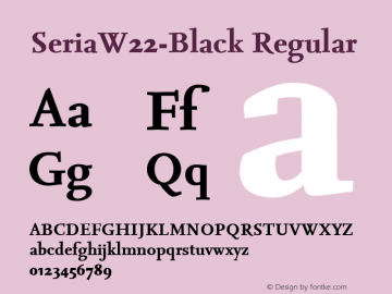 SeriaW22-Black Regular Version 7.504图片样张