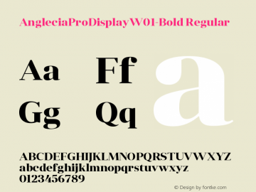 AngleciaProDisplayW01-Bold Regular Version 1.00 Font Sample