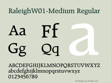 RaleighW01-Medium Regular Version 1.02图片样张