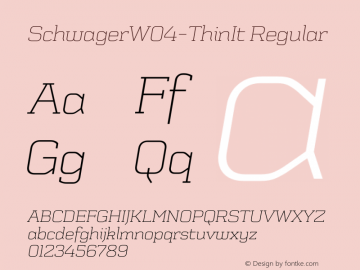 SchwagerW04-ThinIt Regular Version 1.00图片样张