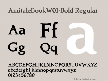 AmitaleBookW01-Bold Regular Version 1.00 Font Sample