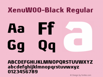 XenuW00-Black Regular Version 1.10图片样张
