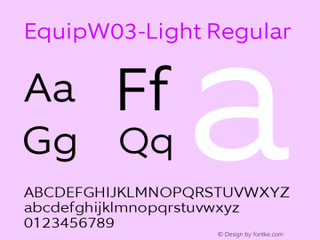 EquipW03-Light Regular Version 1.00图片样张
