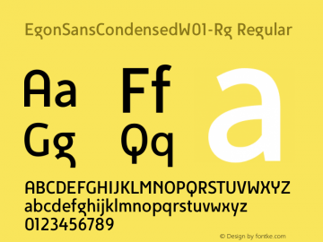 EgonSansCondensedW01-Rg Regular Version 1.00图片样张