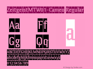 ZeitgeistMTW01-Cameo Regular Version 1.02图片样张
