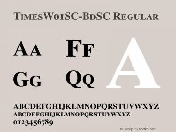 TimesW01SC-BdSC Regular Version 1.00 Font Sample