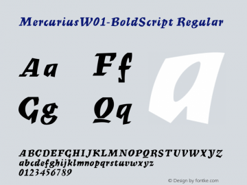 MercuriusW01-BoldScript Regular Version 2.02图片样张