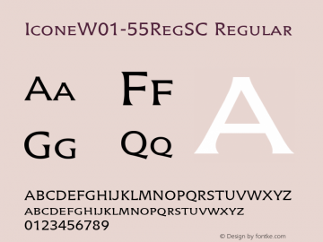 IconeW01-55RegSC Regular Version 1.00图片样张