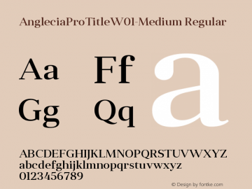 AngleciaProTitleW01-Medium Regular Version 1.00 Font Sample