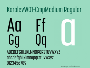 KorolevW01-CmpMedium Regular Version 1.00 Font Sample