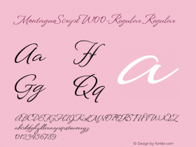 MontagueScriptW00-Regular Regular Version 1.00 Font Sample