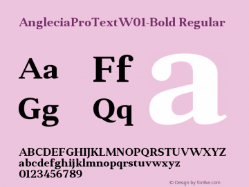 AngleciaProTextW01-Bold Regular Version 1.00图片样张