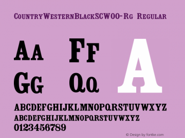 CountryWesternBlackSCW00-Rg Regular Version 1.00图片样张