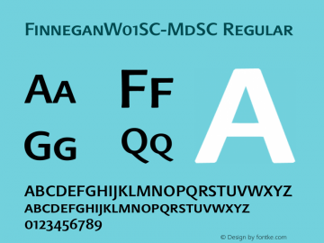 FinneganW01SC-MdSC Regular Version 1.00图片样张