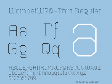 WombatW00-Thin Regular Version 1.10 Font Sample