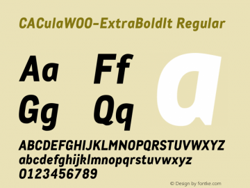 CACulaW00-ExtraBoldIt Regular Version 1.00 Font Sample