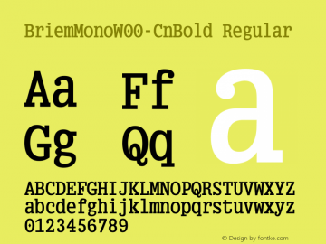 BriemMonoW00-CnBold Regular Version 1.00 Font Sample