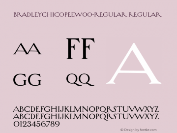 BradleyChicopeeW00-Regular Regular Version 1.10图片样张