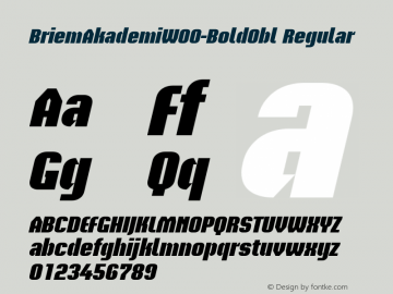 BriemAkademiW00-BoldObl Regular Version 1.00 Font Sample