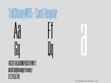 TallSkinnyW95-Cond Regular Version 1.00图片样张