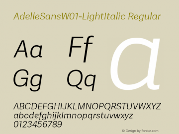 AdelleSansW01-LightItalic Regular Version 1.00图片样张