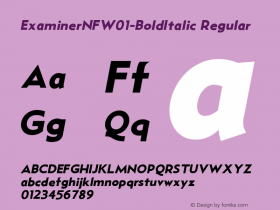 ExaminerNFW01-BoldItalic Regular Version 1.00 Font Sample