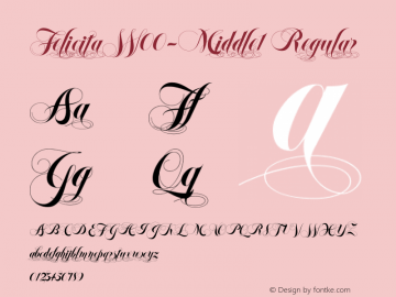 FelicitaW00-Middle1 Regular Version 1.00 Font Sample