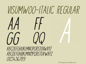 VisumW00-Italic Regular Version 1.00 Font Sample