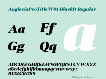 AngleciaProTitleW01-BlackIt Regular Version 1.00 Font Sample