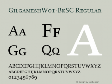 GilgameshW01-BkSC Regular Version 1.00图片样张