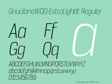 GnuolaneW00-ExtraLightIt Regular Version 2.20图片样张