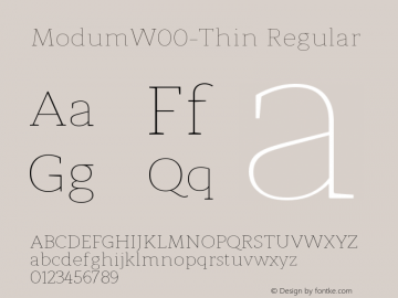 ModumW00-Thin Regular Version 1.00图片样张