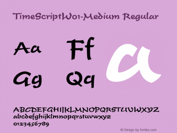 TimeScriptW01-Medium Regular Version 1.1图片样张
