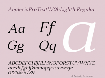 AngleciaProTextW01-LightIt Regular Version 1.00 Font Sample