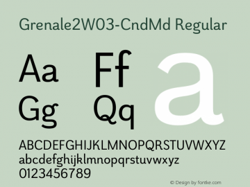 Grenale2W03-CndMd Regular Version 1.00图片样张