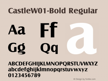 CastleW01-Bold Regular Version 1.01 Font Sample