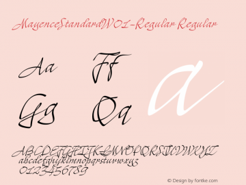 MayenceStandardW01-Regular Regular Version 1.00 Font Sample