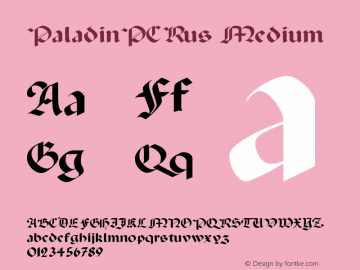 PaladinPCRus Medium 001.001图片样张