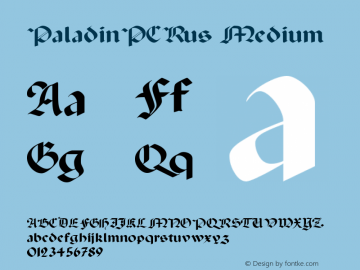 PaladinPCRus Medium 001.001图片样张