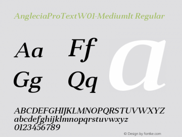 AngleciaProTextW01-MediumIt Regular Version 1.00 Font Sample
