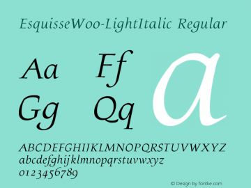 EsquisseW00-LightItalic Regular Version 1.00 Font Sample