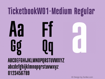 TicketbookW01-Medium Regular Version 1.1图片样张