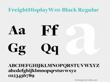 FreightDisplayW01-Black Regular Version 1.00 Font Sample