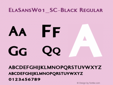 ElaSansW01_SC-Black Regular Version 1.00 Font Sample