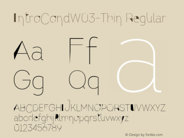 IntroCondW03-Thin Regular Version 1.00图片样张