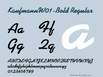 KaufmannW01-Bold Regular Version 1.40 Font Sample