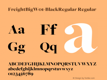 FreightBigW01-BlackRegular Regular Version 1.00 Font Sample